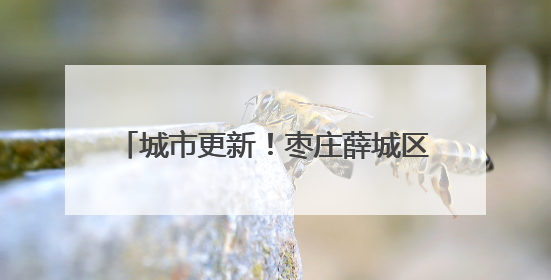 城市更新！枣庄薛城区焕发美好生活新图景